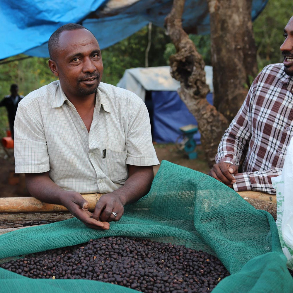 COFFEE EDITION N°6 - Charbon