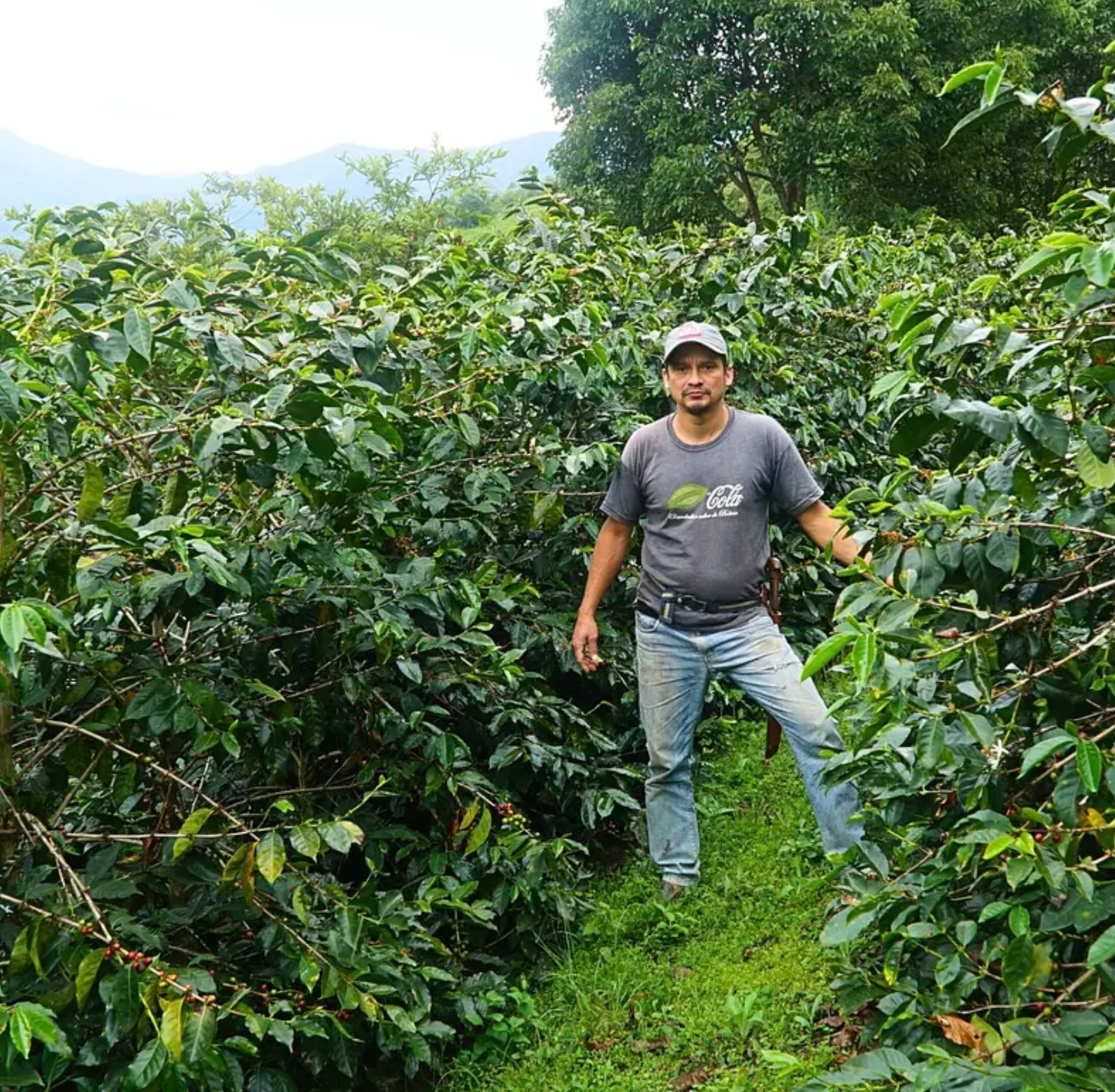 COFFEE EDITION N°5 – caffè UNO